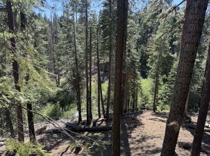 Lot 10 Willow Creek Homesites, Chester, CA 00000 Photo