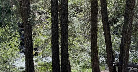 Lot 10 Willow Creek Homesites, Chester, CA 00000 Photo