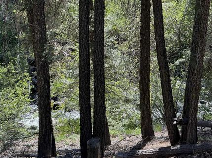 Lot 10 Willow Creek Homesites, Chester, CA 00000 Photo