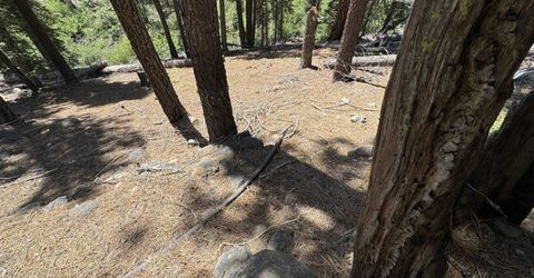 Lot 10 Willow Creek Homesites, Chester, CA 00000 Photo