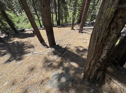 Lot 10 Willow Creek Homesites, Chester, CA 00000 Photo