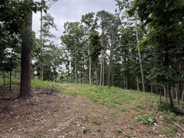 17575 Sweeps Lane , Rogers, AR 72756