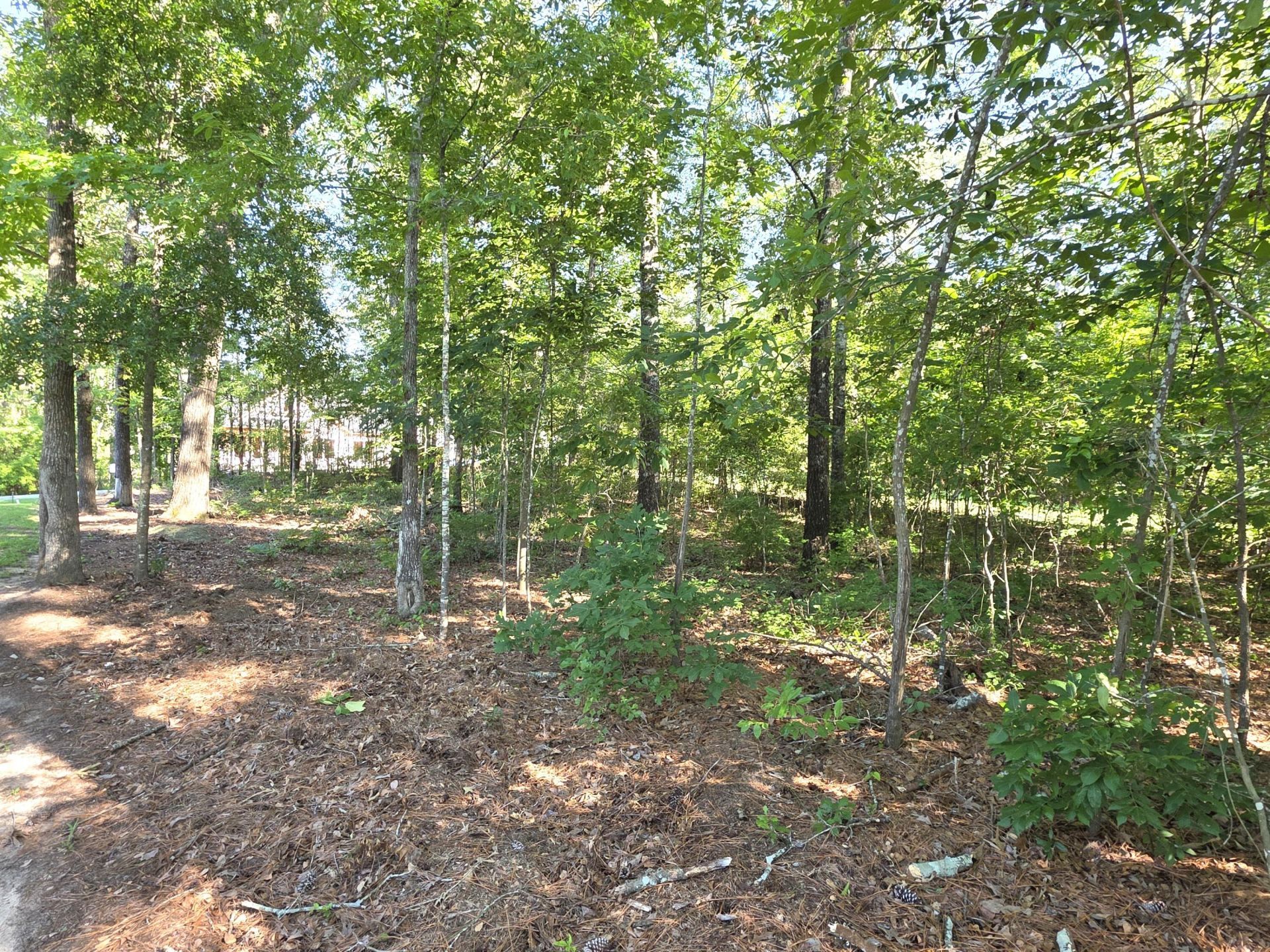 620 Plantation Drive Photo 10