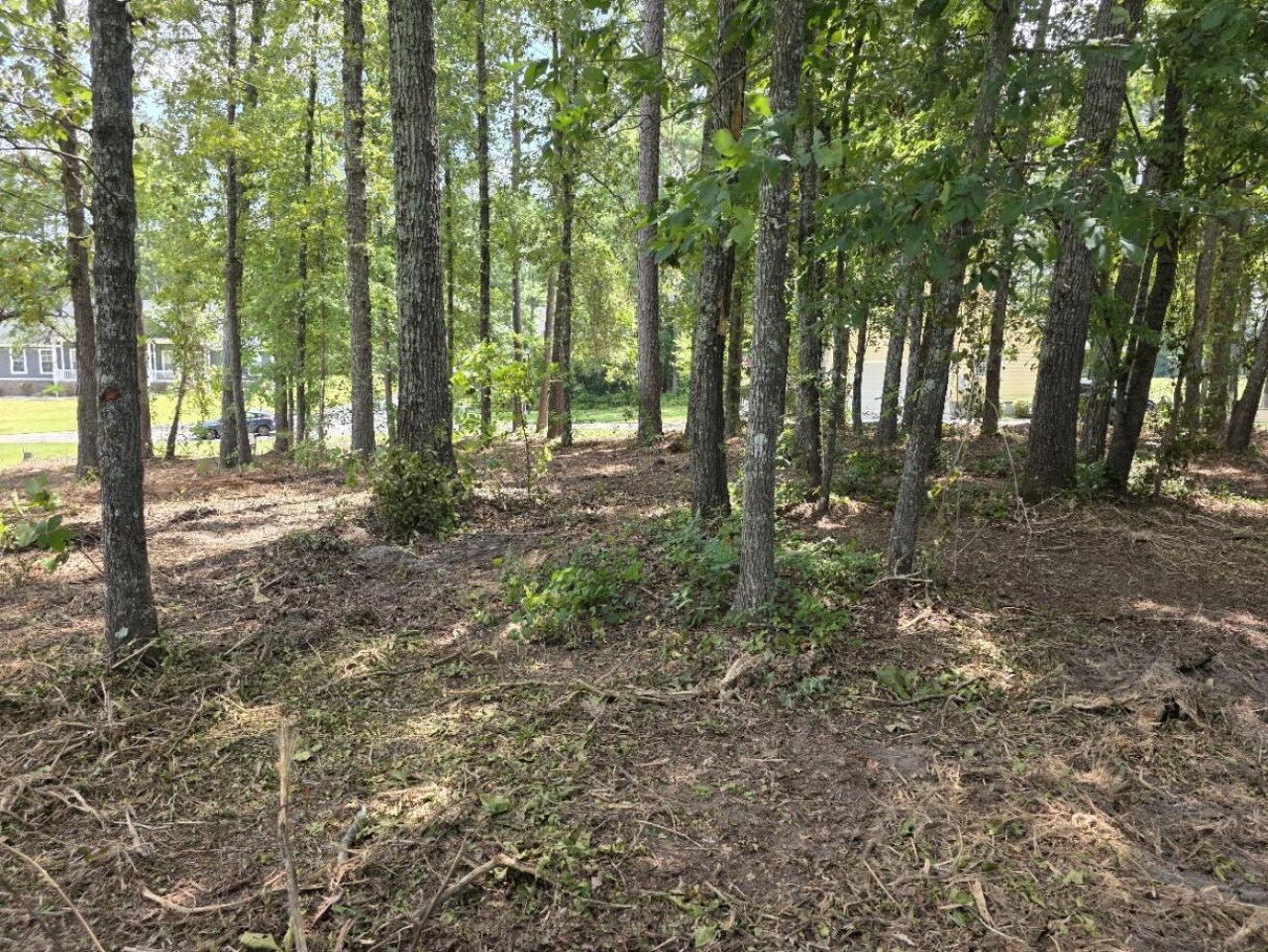 620 Plantation Drive Photo 13
