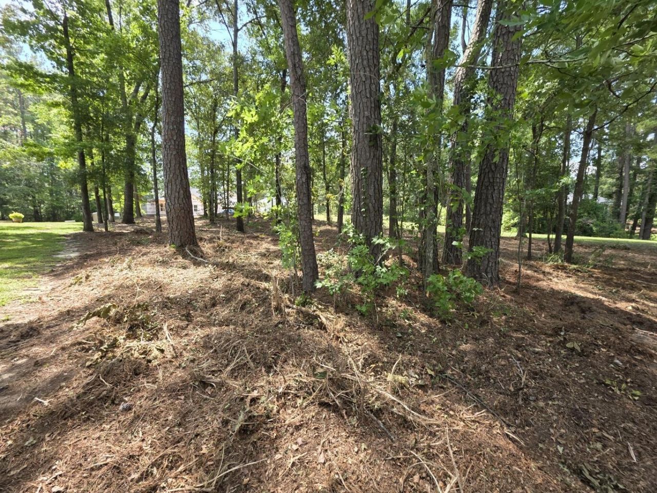 620 Plantation Drive Photo 16