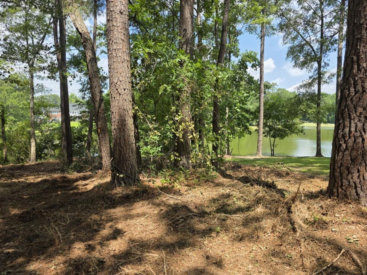 620 Plantation Drive Photo 4