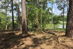 620 Plantation Drive photo 4
