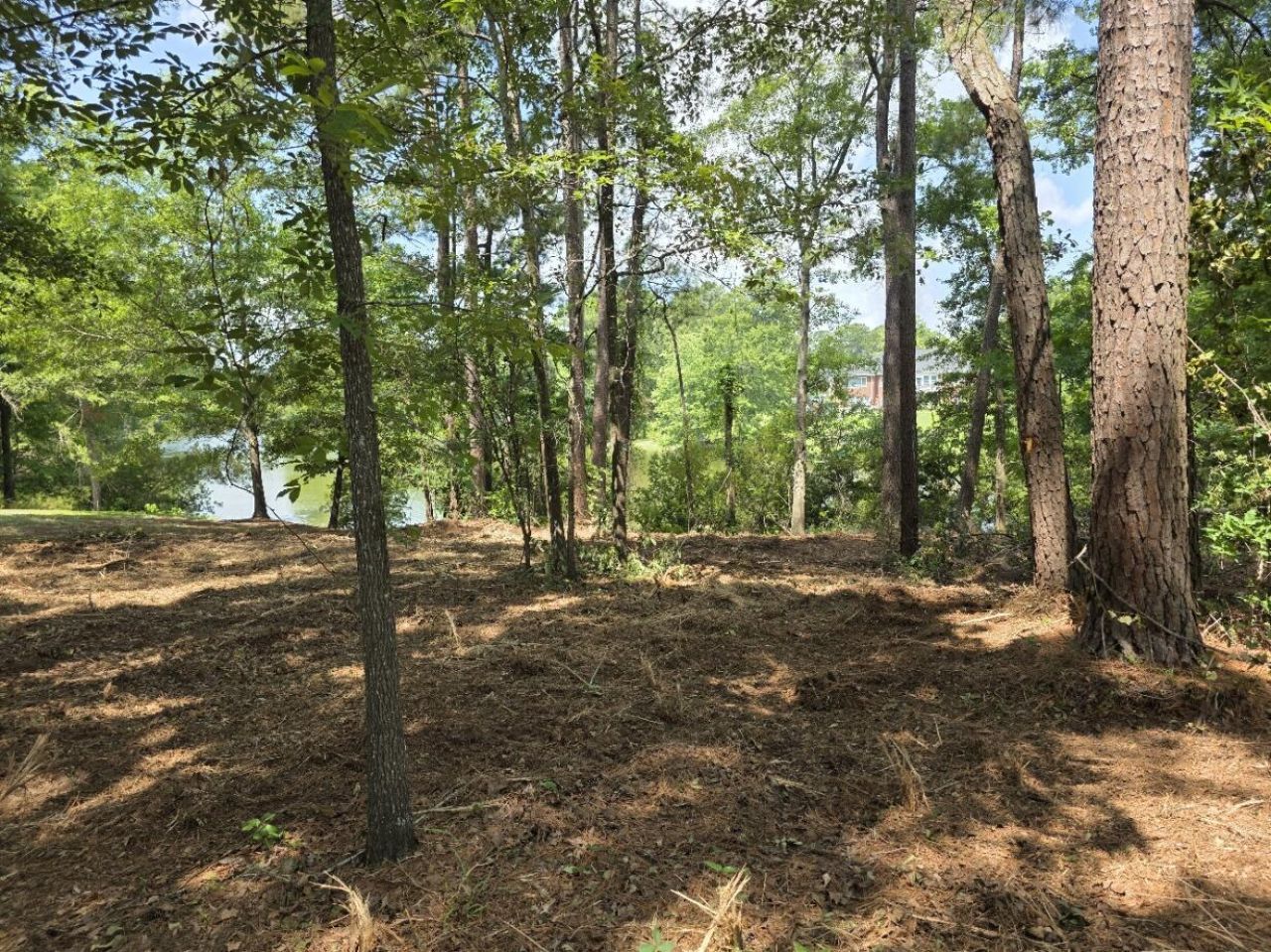 620 Plantation Drive Photo 5