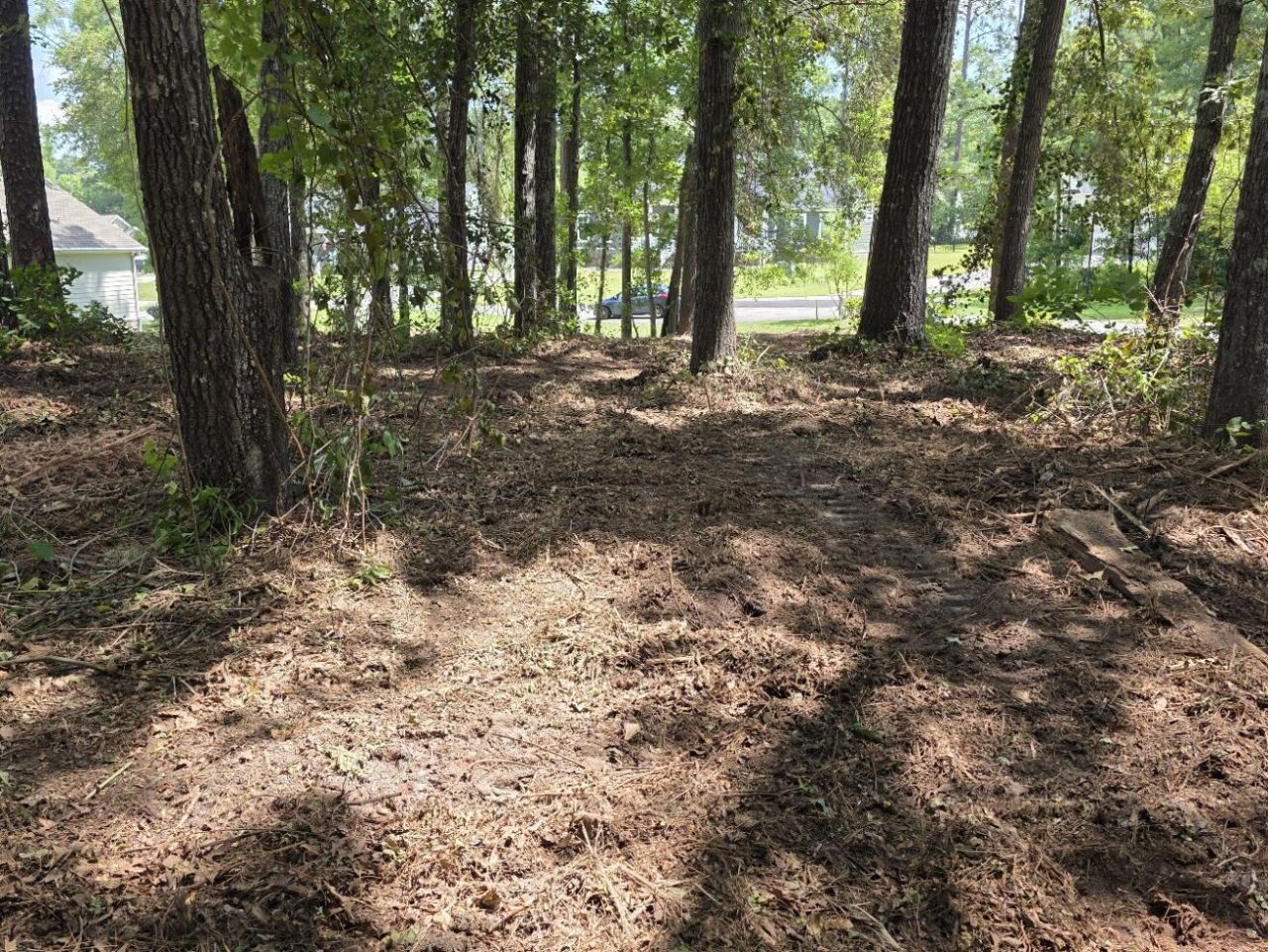 620 Plantation Drive Photo 6