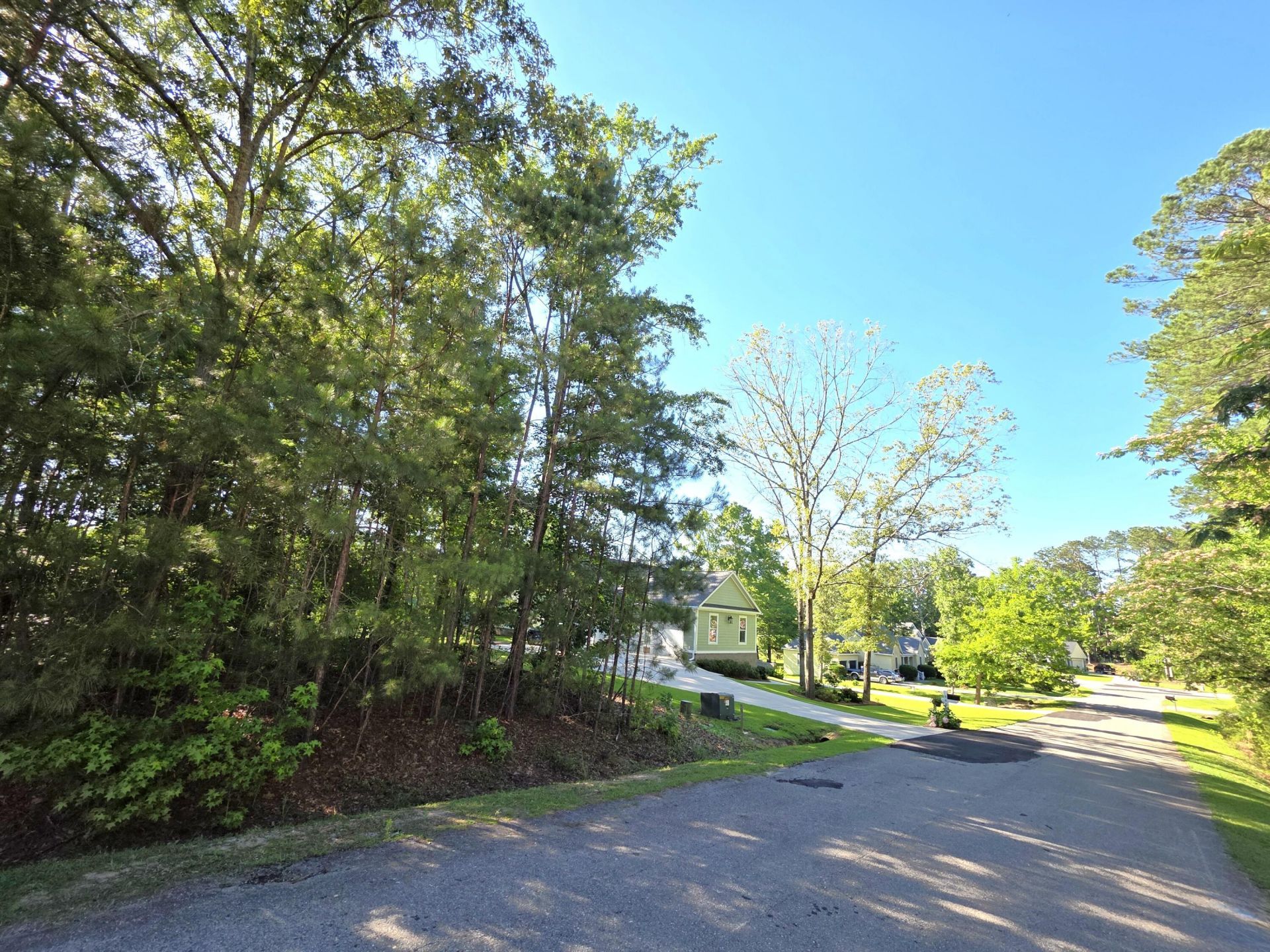 620 Plantation Drive Photo 7