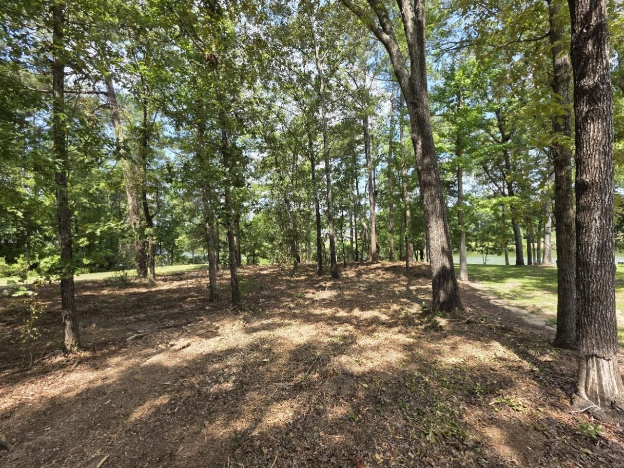 620 Plantation Drive Photo 7