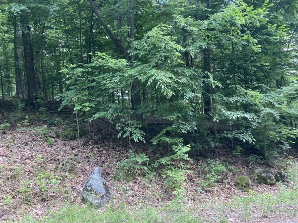 0 Briarwood Drive , Erin, TN 37061