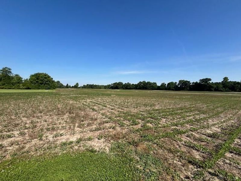 0 E Lexington Road, Eaton, OH 45320 Photo 8