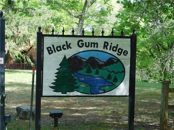 0 Dallas Lane , Blue Ridge, GA 30513