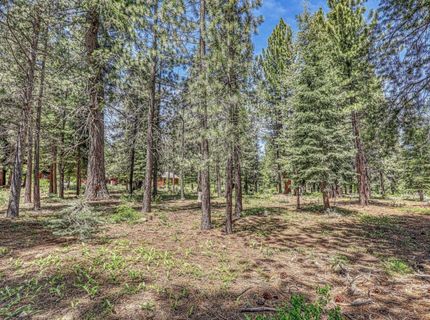 17308 Northwoods Boulevard, Truckee, CA 96161 Photo