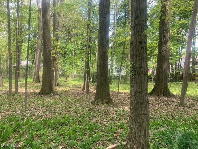 1340 N Lincoln Avenue , Salem, OH 44460 Photo 5