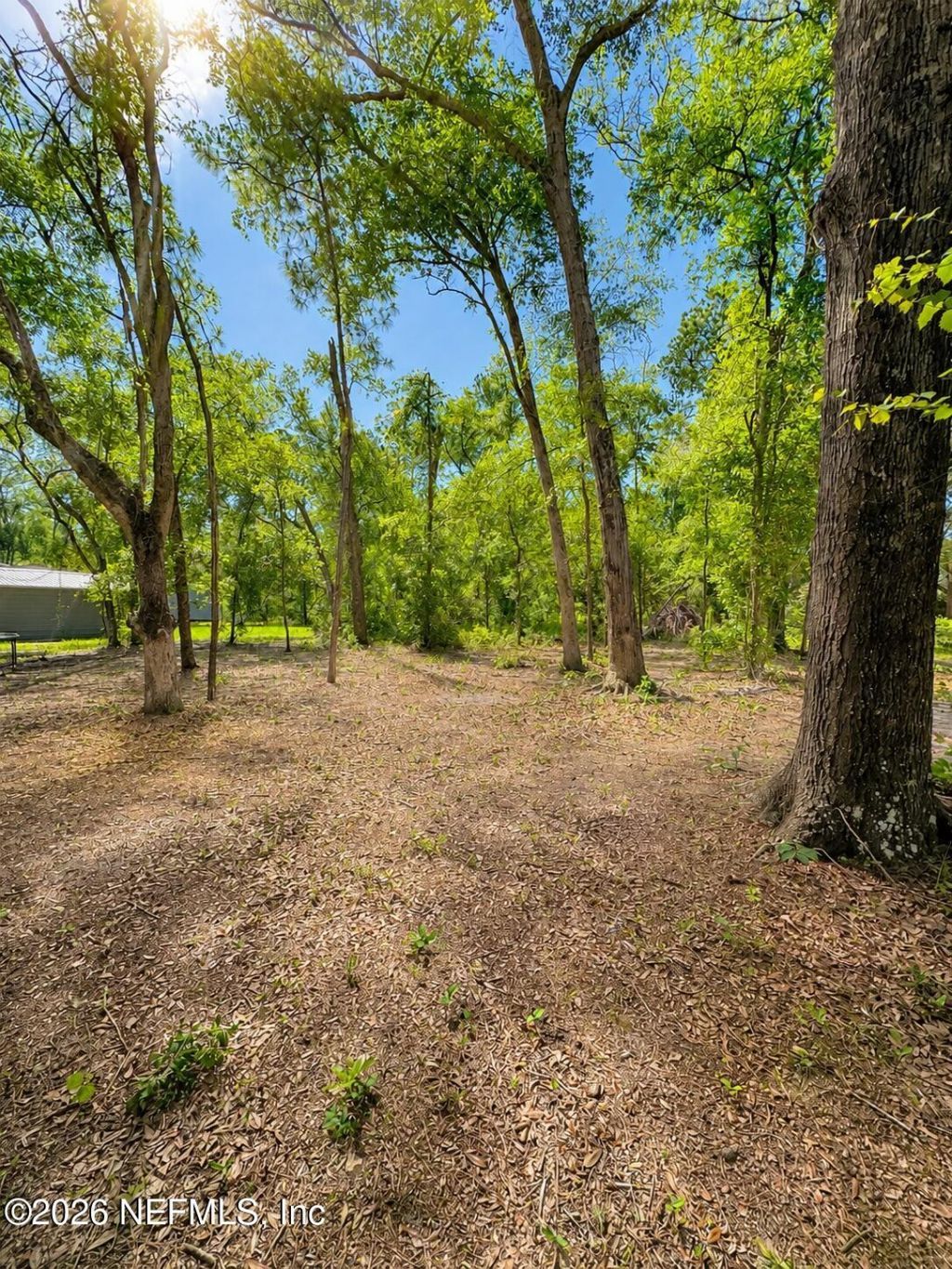 289 NW Adrienne Glen, Lake City, FL 32055 Photo