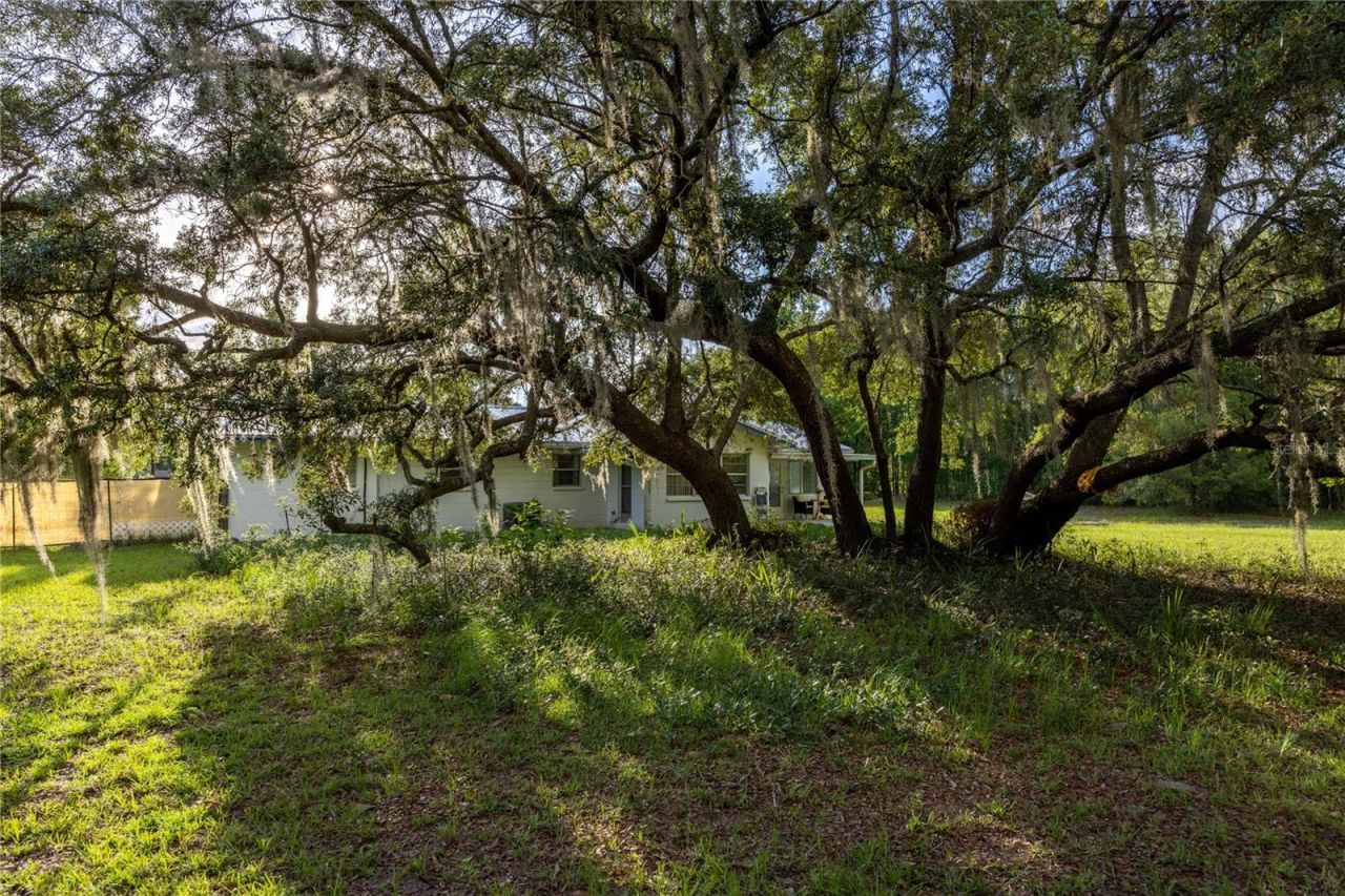 7803 SE Us Highway 301 , Hawthorne, FL 32640 Photo