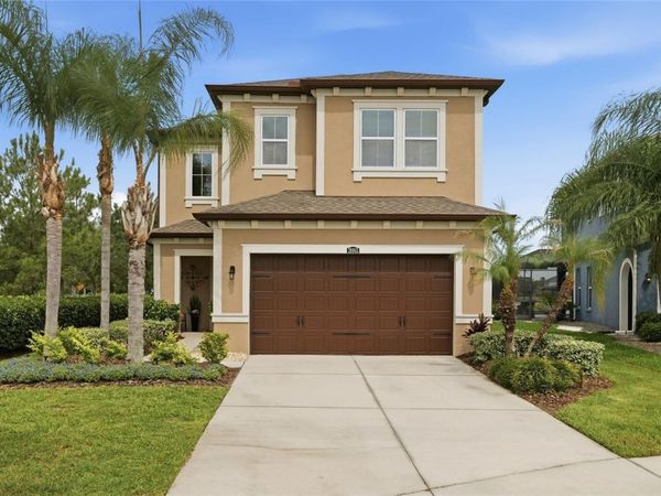 28953 TREVI PLACE , WESLEY CHAPEL, FL 33543