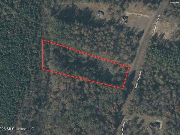 Sleepy Hollow Road, Terry, MS 39170