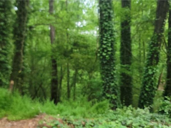 0 Shadowbrook Drive, Marietta, GA 30062