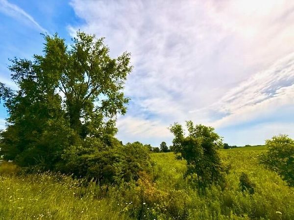 0 Carpenter Road, Three Oaks, MI 49128