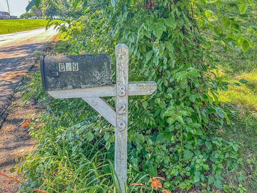 Property Image 6