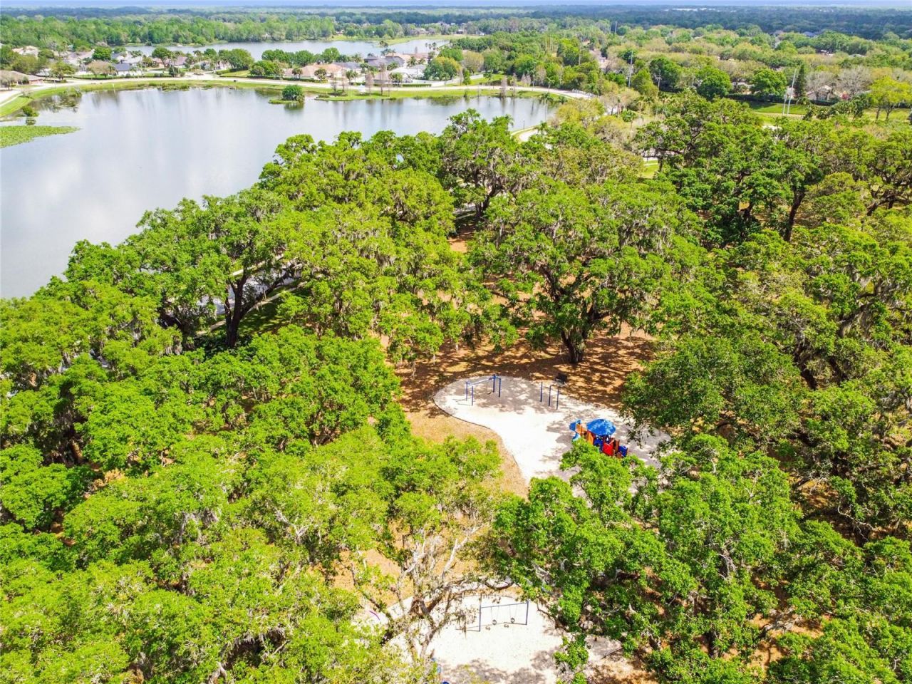 3041 Beaver Pond Trail , Valrico, FL 33596 Photo