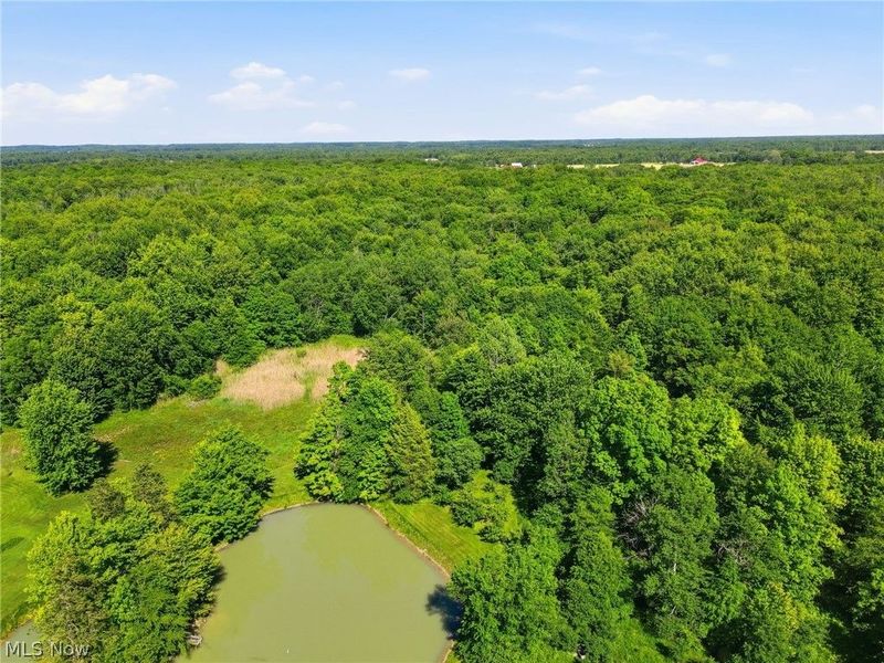 1912 State Rt 45, Rock Creek, OH 44084 Photo 13
