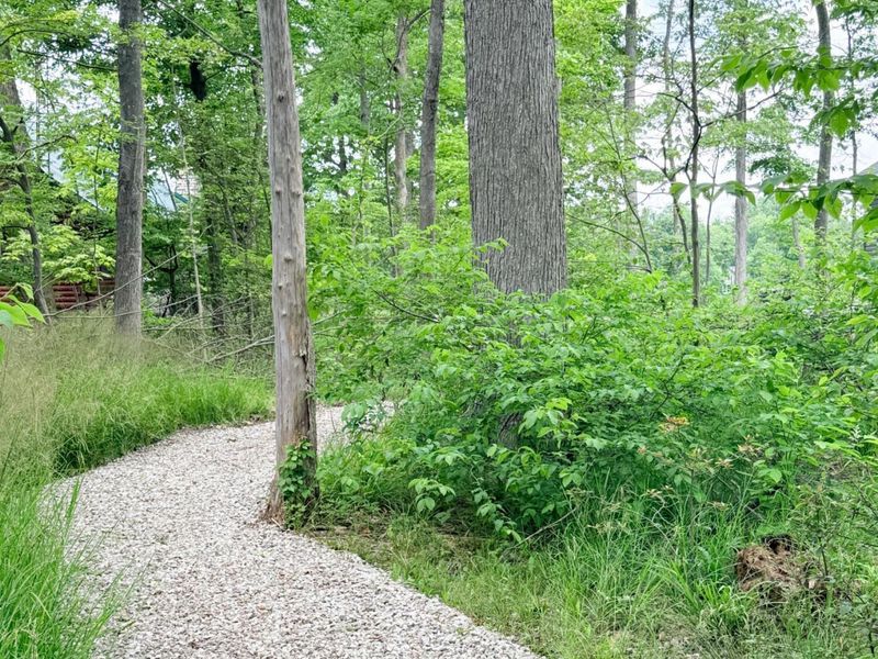 7326 State Route 19, Unit Unit 2, Lo, Mount Gilead, OH 43338 Photo 15