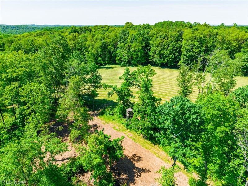 3188 SW Amsterdam Road, Scio, OH 43986 Photo 28