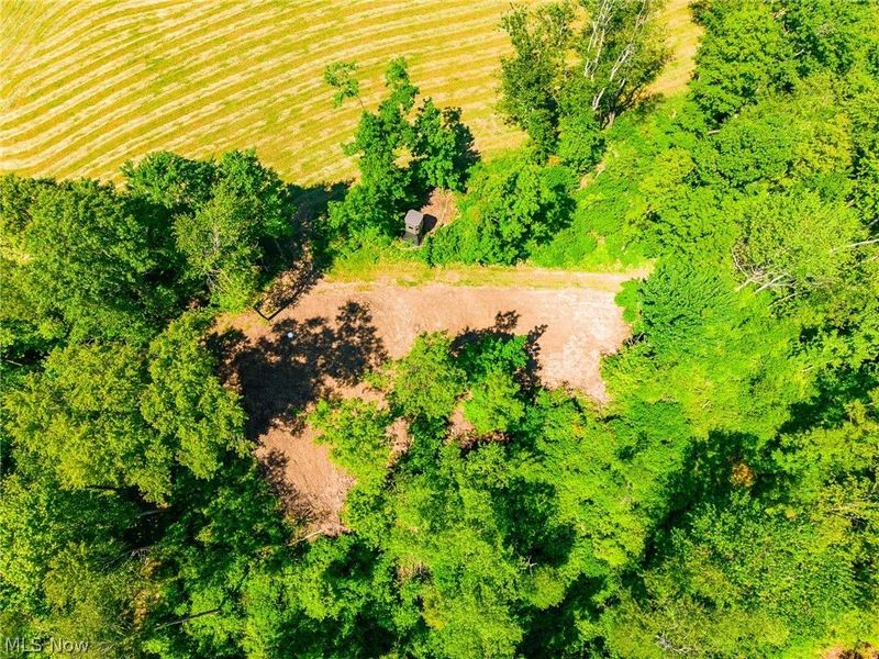 3188 SW Amsterdam Road, Scio, OH 43986 Photo 29