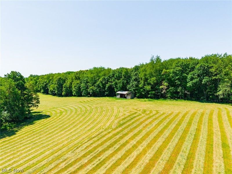 3188 SW Amsterdam Road, Scio, OH 43986 Photo 33