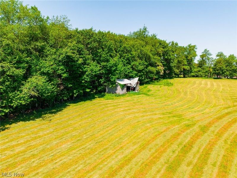 3188 SW Amsterdam Road, Scio, OH 43986 Photo 37