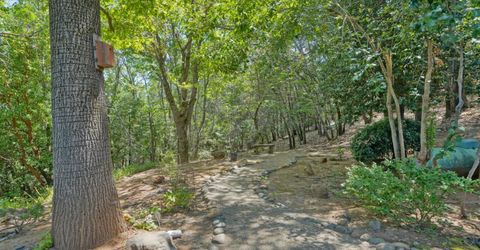 3120 Braden Rd, Camino, CA 95709 Photo