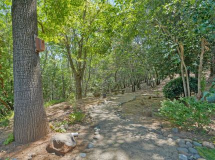 3120 Braden Rd, Camino, CA 95709 Photo