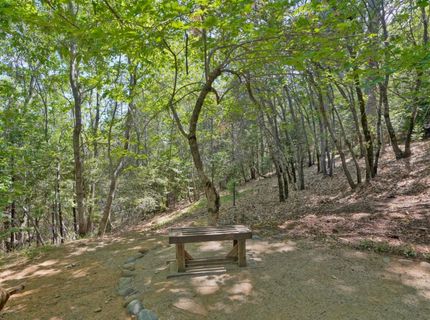 3120 Braden Rd, Camino, CA 95709 Photo