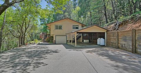3120 Braden Rd, Camino, CA 95709 Photo