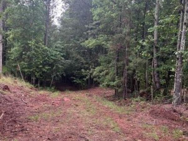 0 Dobbs Mountain Road, Villa Rica, GA 30180