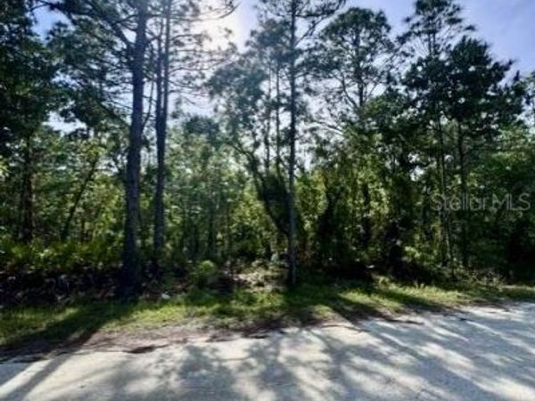 MACEK ROAD , WEEKI WACHEE, FL 34614