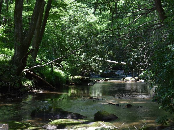 2632 Big Creek Road, Cherry Log, GA 30522