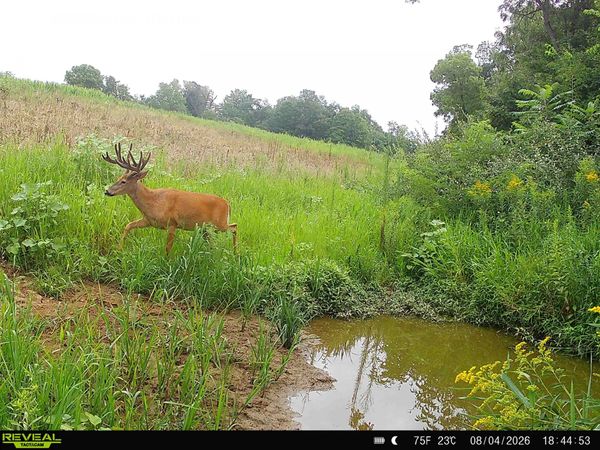 153+/- Acres Shimmering Lane, Blue River, WI 53518
