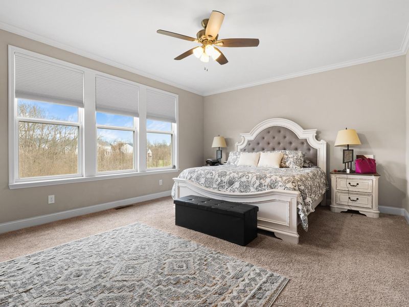 949 Traemore Place, Union, KY 41091 Photo 16