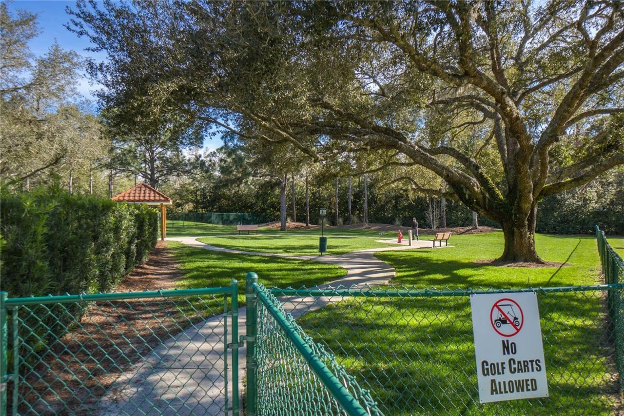 1148 W Diamond Shore Loop , Hernando, FL 34442 Photo