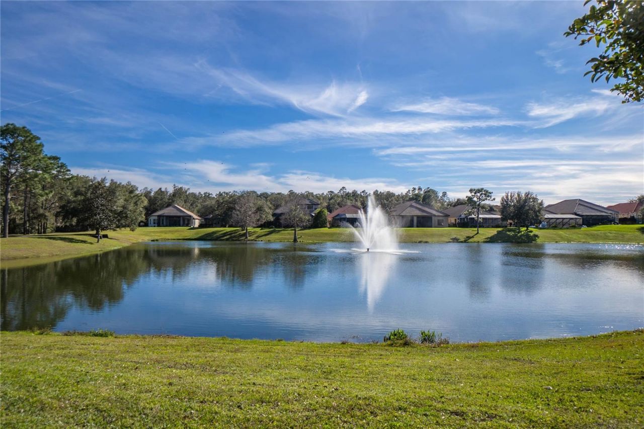 1148 W Diamond Shore Loop , Hernando, FL 34442 Photo