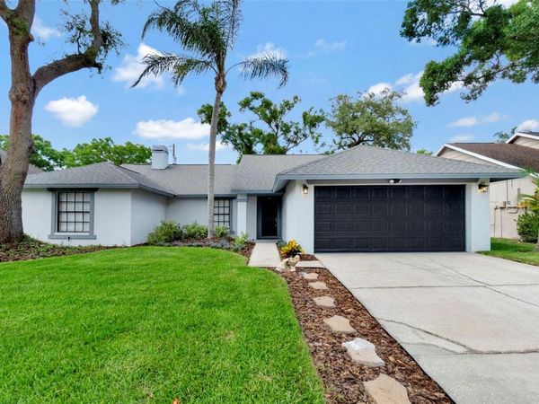 15026 REDCLIFF DRIVE, TAMPA, FL 33625