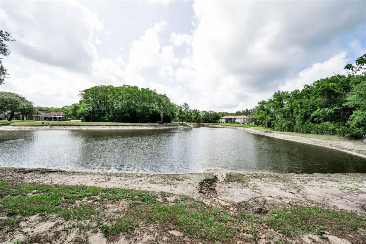12025 Proctor Loop , Unit 3, New Port Richey, FL 34654 Photo