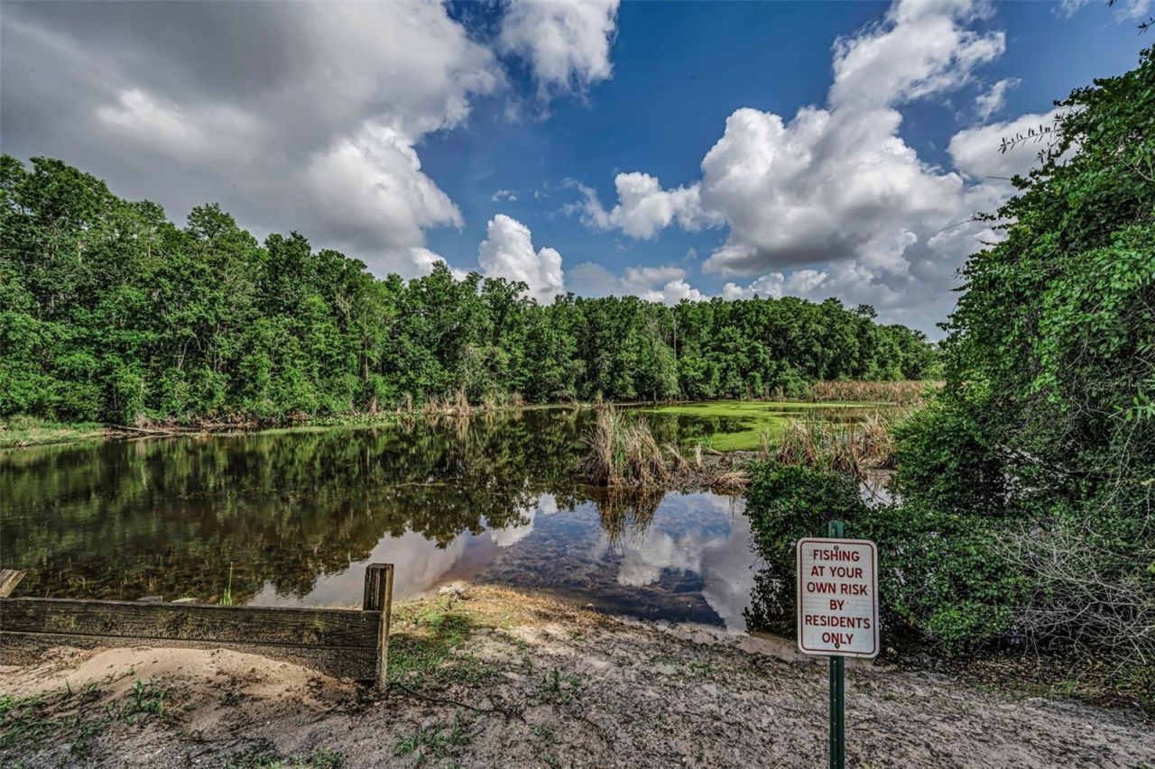 12025 Proctor Loop , Unit 3, New Port Richey, FL 34654 Photo