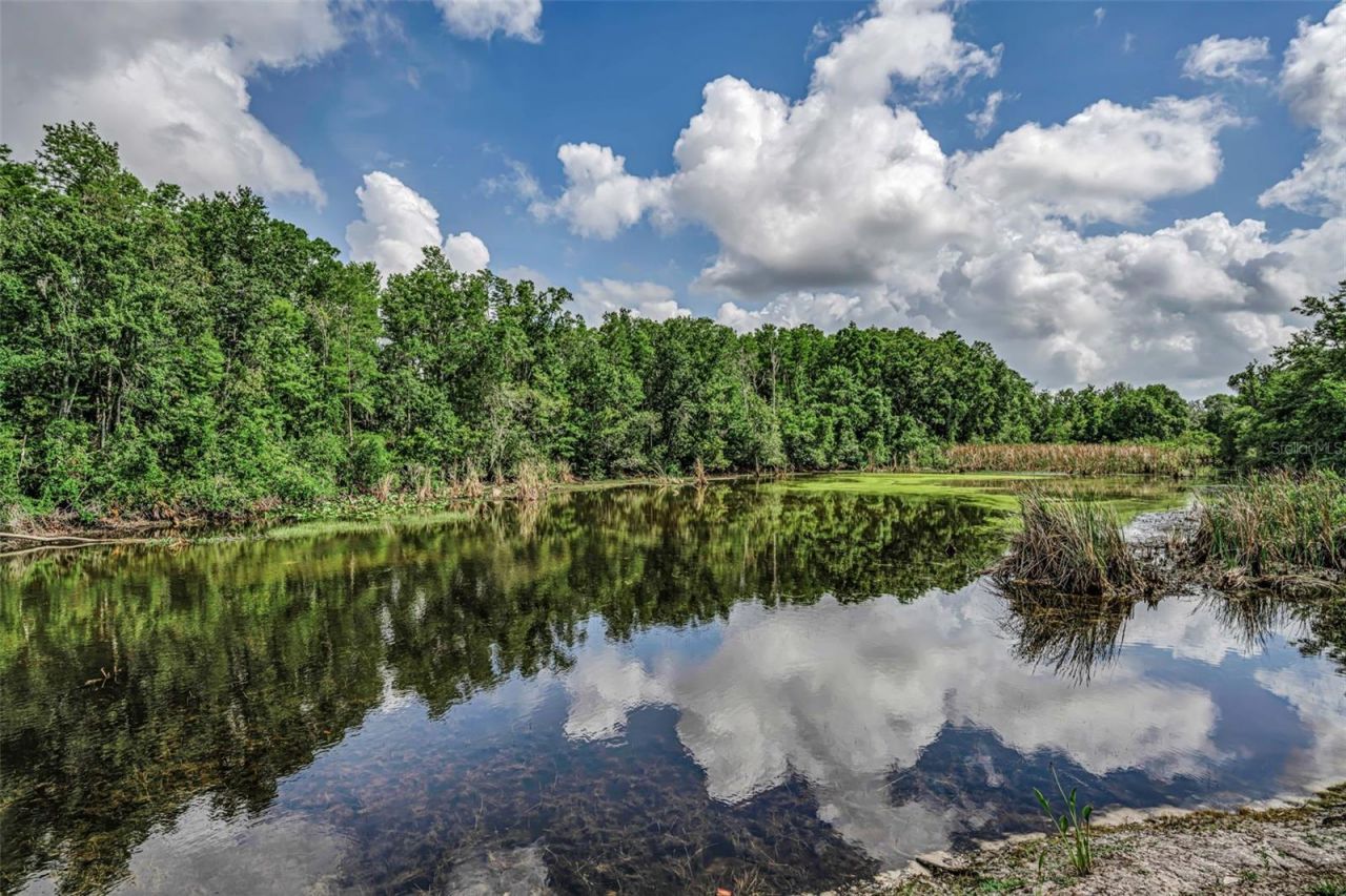 12025 Proctor Loop , Unit 3, New Port Richey, FL 34654 Photo