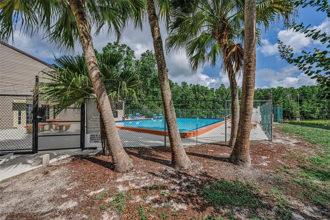 12025 Proctor Loop , Unit 3, New Port Richey, FL 34654 Photo